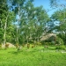 14 Acres with Home, Guesthouse and Multiple Wood Cabins3