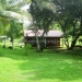 Guest house in Bullet Tree Cayo Belize 7