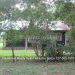 Belize-Two-Homes-on-River-on-5-Acres12