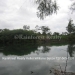 Belize-Two-Homes-on-River-on-5-Acres2