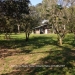 Belize-Two-Homes-on-River-on-5-Acres25