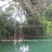 Belize-Two-Homes-on-River-on-5-Acres34