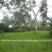Belize-Two-Homes-on-River-on-5-Acres4