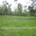 Belize-Two-Homes-on-River-on-5-Acres6