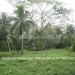 Belize-Two-Homes-on-River-on-5-Acres8