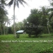 Belize-Two-Homes-on-River-on-5-Acres9