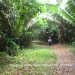 $0 acres of verdant Forest in Punta Gorda1