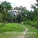 $0 acres of verdant Forest in Punta Gorda5