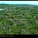 1500 Acres for Sale in Corozal Belize ready for development