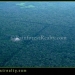 1500 Acres for sale in Corozal Belize lot of trees