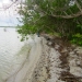 1550 Acres Corozal Ocean Coastline Sandy