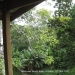 Belize Land with cascading waterfalls10