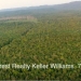 Belize Land 800 Acres for Sale1