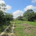 70 Acres in Young Gal Cayo District 1