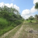 70 Acres in Young Gal Cayo District 4