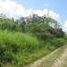 70 Acres in Young Gal Cayo District 5