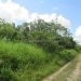 70 Acres in Young Gal Cayo District 6