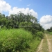 70 Acres in Young Gal Cayo District 7