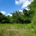 Belize Land 50 Acres near Belmopan15