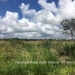 Belize Land 50 Acres near Belmopan3