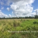 Belize Land 50 Acres near Belmopan5
