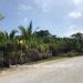 Two Lots on Ambergris Caye Island Belize
