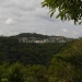 Wooded Lots for Sale Maya Mountians 10.JPG