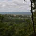 Wooded Lots for Sale Maya Mountians 11.JPG