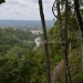 Wooded Lots for Sale Maya Mountians 13.JPG