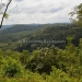 Wooded Lots for Sale Maya Mountians 5.JPG