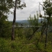 Wooded Lots for Sale Maya Mountians 9.JPG