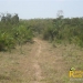 belize-real-estate_72-22-acres-in-branch-mouth-13
