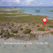 Belize-Island-Lot-in-Sartaneja-Corozal1