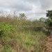 Belize Land for Sale 40 Acres 5.JPG