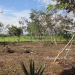 1.34 acres of sloping land in Belize for Sale1