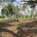 1.34 acres of sloping land in Belize for Sale10