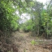 1.34 acres of sloping land in Belize for Sale11