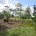 1.34 acres of sloping land in Belize for Sale13