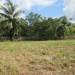 1.34 acres of sloping land in Belize for Sale6