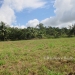 1.34 acres of sloping land in Belize for Sale7