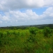 50 Acres for Sale in Belize Young Gal 7