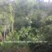 Belize-12-Acres-of-Serenity-mountain-top2