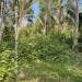 Belize-12-Acres-of-Serenity-mountain-top5