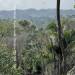 Belize-12-Acres-of-Serenity-mountain-top6