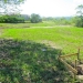 Belize Home Lots for Sale San Ignacio Town 9