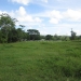 Cayo Belize Riverfront Land for Sale 1