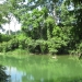 Cayo Belize Riverfront Land for Sale 11
