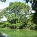 Cayo Belize Riverfront Land for Sale 13
