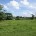Cayo Belize Riverfront Land for Sale 14