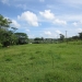 Cayo Belize Riverfront Land for Sale 15